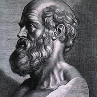 Photo de Hippocrates
