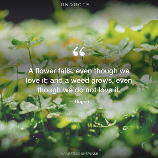 Image from Unsplash remixed with quote from Dōgen.