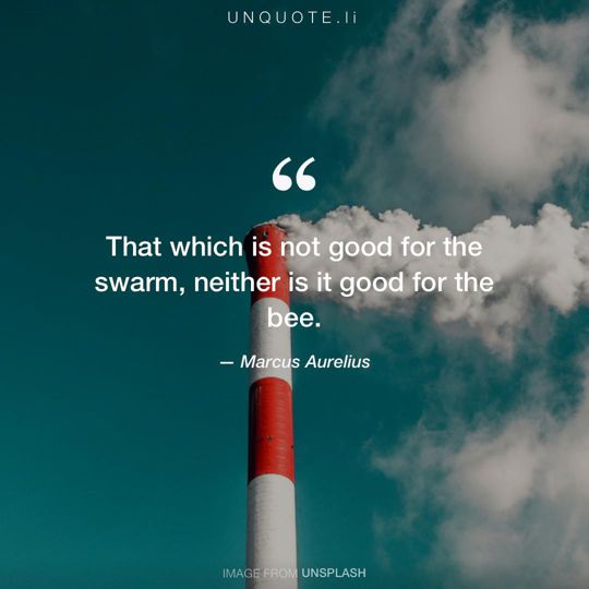 Image from Unsplash remixed with quote from Marcus Aurelius.