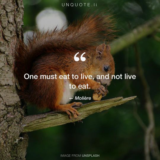 Image from Unsplash remixed with quote from Molière.