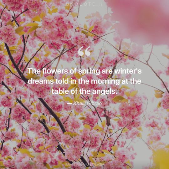 Image from Unsplash remixed with quote from Khalil Gibran.